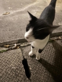 沖縄ハイブリッドエステ　みすず