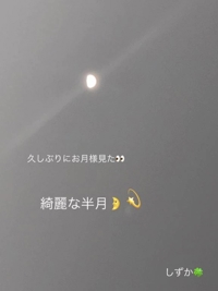 鹿児島ちゃんこ 霧島店　しずか