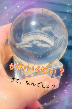 JaPON　楓　良い値コース