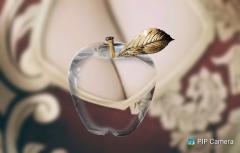 鶴富屋敷　ヒナ、(癒しの女王)