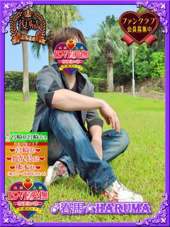 高級女性用風俗・性感エステLOVE愛撫(らぶあいぶ) ♂春馬☆HARUMA