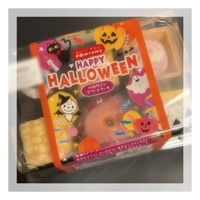 MIYAZAKI SANSAIN 優里