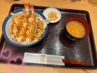 MIYAZAKI SANSAIN(宮崎市) エム