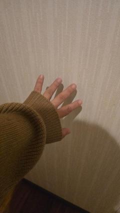 鹿児島ちゃんこ 天文館店　うた