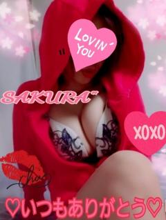 MICHELIN ミシュラン　サクラSakura