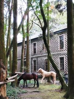 高級女性用風俗・性感エステLOVE愛撫(らぶあいぶ)　♂流星☆RYUSEI