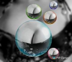 鶴富屋敷　ヒナ、(癒しの女王)