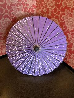 ドスケベ人妻　みらい♡魅惑のエロテロリスト