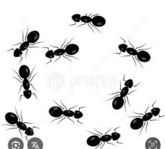 CLUB LUMINE　Haru【ハル】