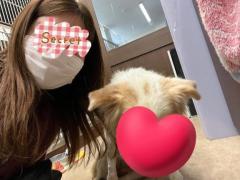 鹿児島ちゃんこ薩摩川内店　もあ