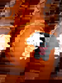 LOHAS(ロハス)　新人みな