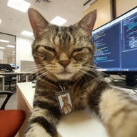 沖縄ハイブリッドエステ(那覇市) みすず