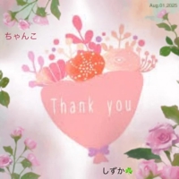 鹿児島ちゃんこ 霧島店　しずか