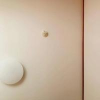 鹿児島ちゃんこ 霧島店　うい