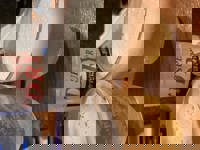 大人の遊園痴「スピーディー」　りつ（敏感で癒し系）