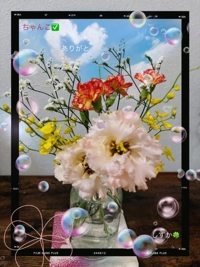 鹿児島ちゃんこ 霧島店　しずか