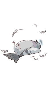 ギャルサー(鹿児島市) リセ