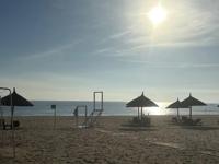 待ちナビ　しょう