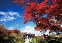 待ちナビ　まお