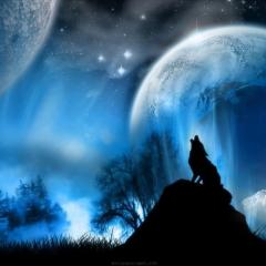 Spica(すぴか)　★ラン★超淫乱美女降臨