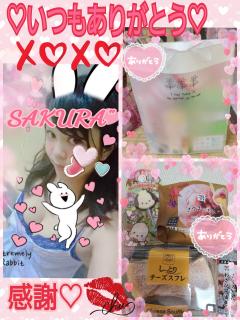 MICHELIN ミシュラン　サクラSakura