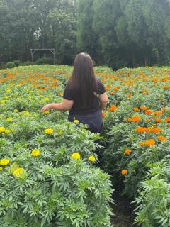 JaPON(大分市) 元子　良い値コース