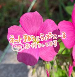 MANIN-ONREIマン淫御礼(大分市) 桃香（ももか）色白美人で癒し系