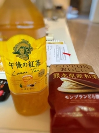 マドンナSANSAIN　さり