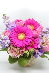 マドンナSANSAIN　ゆう