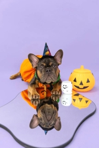 EXE【宮崎店】　みれい