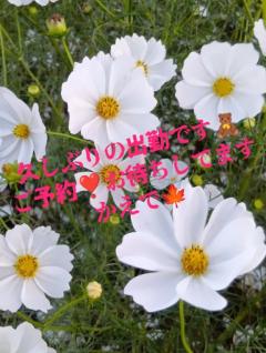 MANIN-ONREIマン淫御礼　楓（かえで）スレンダー美魔女