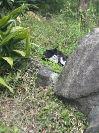 薩摩♂風俗の神様鹿児島店(鹿児島市) さら