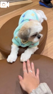 TheGrandPhoenix 大分市デリヘル ジェイ※爆乳Jカップ 写メ日記「恒例なんです」