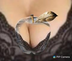 鶴富屋敷　ヒナ、(癒しの女王)