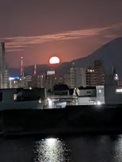 人妻宅急便　かよ（美熟女奥様）