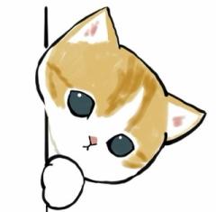 JaPON 大分市デリヘル 蓮ﾚﾝ 写メ日記「   ?」