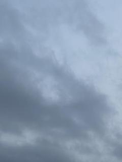 Chic （シック） 中津市デリヘル 新人らい♡11/1デビュー♪ 写メ日記「こんにちは?」