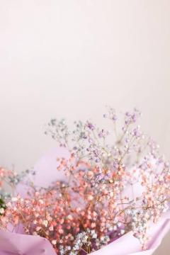 鹿児島ちゃんこ薩摩川内店　なな