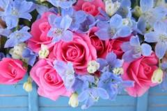 鹿児島ちゃんこ薩摩川内店　なな