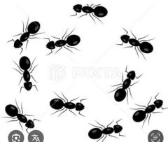 CLUB LUMINE　Haru【ハル】