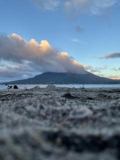 キャンディ　ラナ