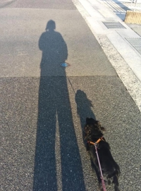 待ちナビ　せいこ