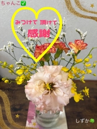 鹿児島ちゃんこ 霧島店(霧島市) しずか