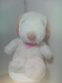 保険屋のおばちゃん　まり