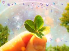 ご主人様いらっしゃい 大分店　キキ♡感度良好♡