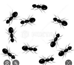 CLUB LUMINE　Haru【ハル】