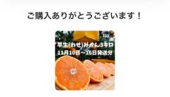 CLUB LUMINE　Mashiro【ましろ】