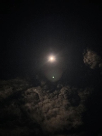 鹿児島ちゃんこ 霧島店(霧島市) せな