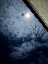 鹿児島ちゃんこ 霧島店　しずか