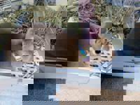 harmonyハーモニー　かおるこ(kaoruko)